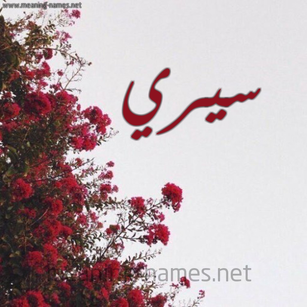 شكل 18 صوره الورد الأحمر للإسم بخط رقعة صورة اسم سيري siri