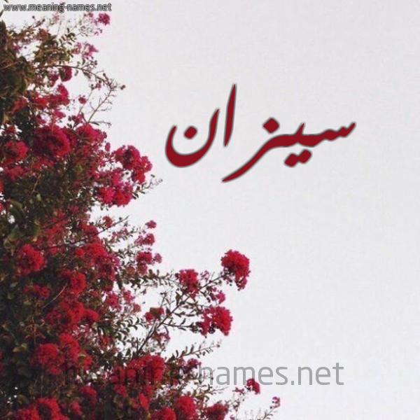 شكل 18 صوره الورد الأحمر للإسم بخط رقعة صورة اسم سيزان sizan