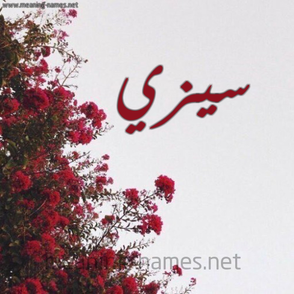 شكل 18 صوره الورد الأحمر للإسم بخط رقعة صورة اسم سيزي sizi