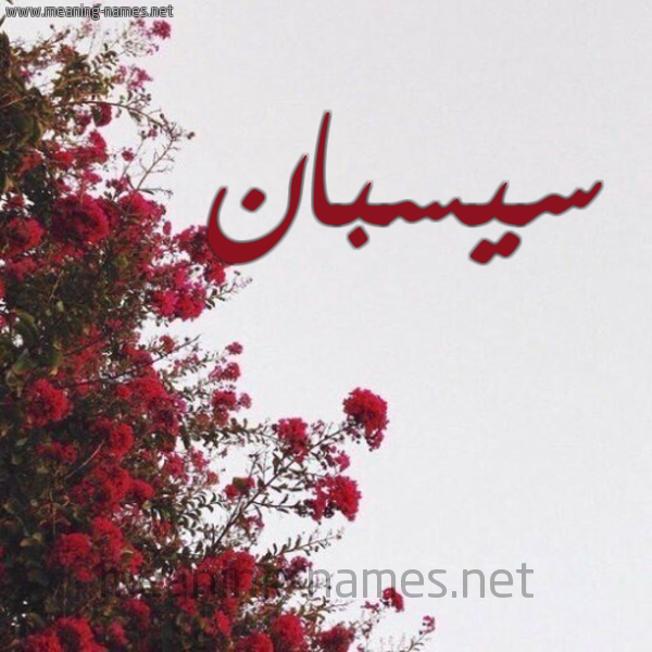 شكل 18 صوره الورد الأحمر للإسم بخط رقعة صورة اسم سيسبان Sysban