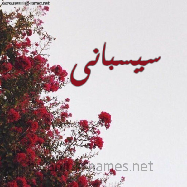 شكل 18 صوره الورد الأحمر للإسم بخط رقعة صورة اسم سيسبانى sisbani