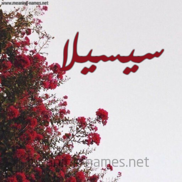شكل 18 صوره الورد الأحمر للإسم بخط رقعة صورة اسم سيسيلا sisila