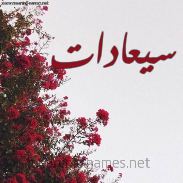 شكل 18 صوره الورد الأحمر للإسم بخط رقعة صورة اسم سيعادات Saadat