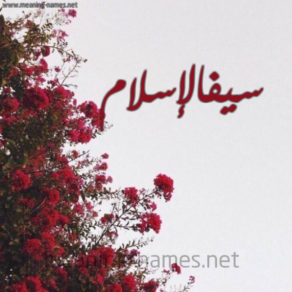 شكل 18 صوره الورد الأحمر للإسم بخط رقعة صورة اسم سيفالإسلام Syfalislam