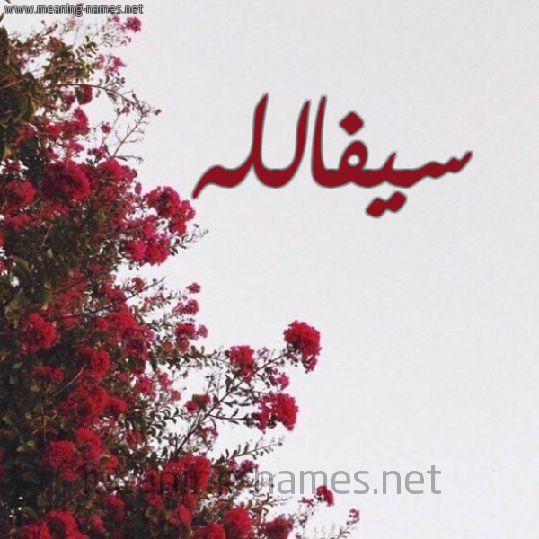 شكل 18 صوره الورد الأحمر للإسم بخط رقعة صورة اسم سيفالله Syfallh