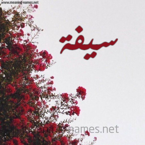 شكل 18 صوره الورد الأحمر للإسم بخط رقعة صورة اسم سيفة Syfh