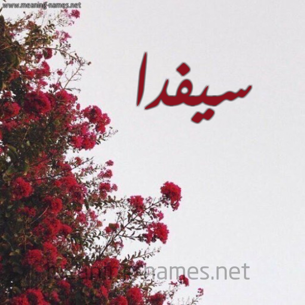 شكل 18 صوره الورد الأحمر للإسم بخط رقعة صورة اسم سيفدا Sedfa