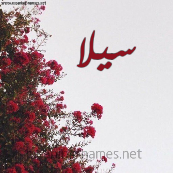 شكل 18 صوره الورد الأحمر للإسم بخط رقعة صورة اسم سيلا sila