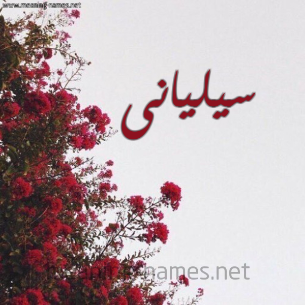 شكل 18 صوره الورد الأحمر للإسم بخط رقعة صورة اسم سيليانى siliani