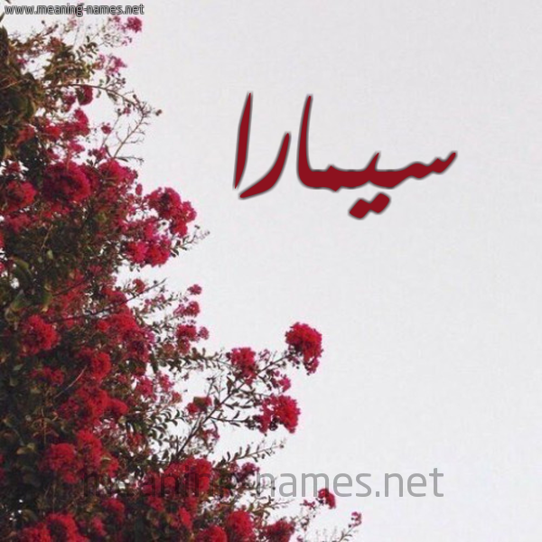 شكل 18 صوره الورد الأحمر للإسم بخط رقعة صورة اسم سيمارا Simara