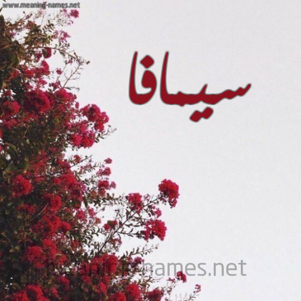 شكل 18 صوره الورد الأحمر للإسم بخط رقعة صورة اسم سيمافا simafa