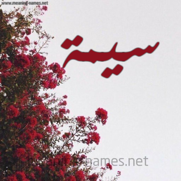 شكل 18 صوره الورد الأحمر للإسم بخط رقعة صورة اسم سيمة SIMH