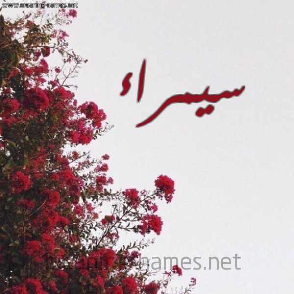 شكل 18 صوره الورد الأحمر للإسم بخط رقعة صورة اسم سيمراء Samraa
