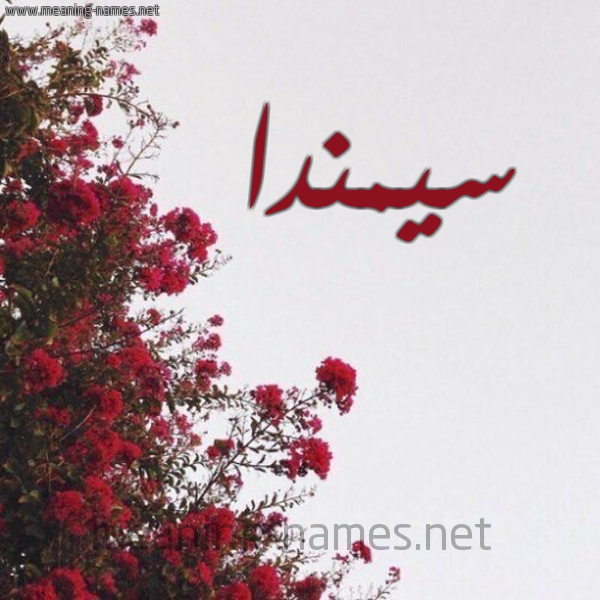 شكل 18 صوره الورد الأحمر للإسم بخط رقعة صورة اسم سيمندا Samanda