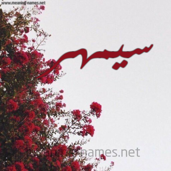 شكل 18 صوره الورد الأحمر للإسم بخط رقعة صورة اسم سيمهر Samhar