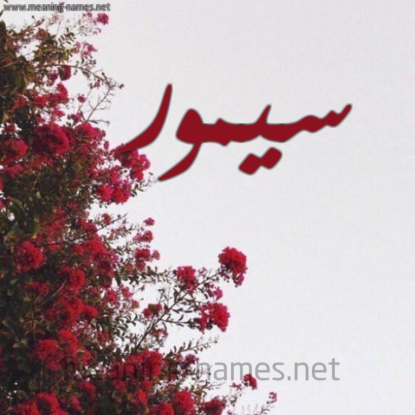 شكل 18 صوره الورد الأحمر للإسم بخط رقعة صورة اسم سيمور simour