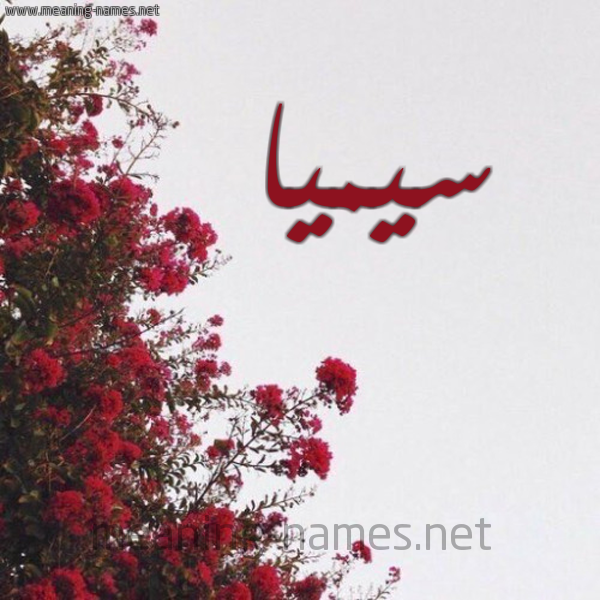 شكل 18 صوره الورد الأحمر للإسم بخط رقعة صورة اسم سيميا Sima