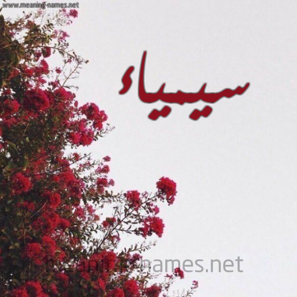 شكل 18 صوره الورد الأحمر للإسم بخط رقعة صورة اسم سيمياء Saimaa