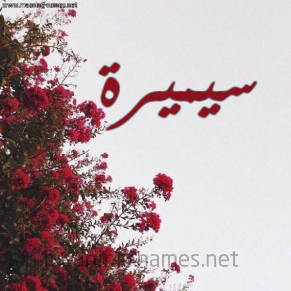 شكل 18 صوره الورد الأحمر للإسم بخط رقعة صورة اسم سيميرة Samira