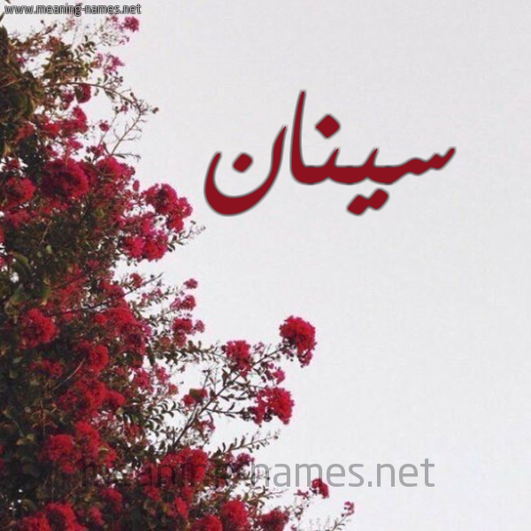 شكل 18 صوره الورد الأحمر للإسم بخط رقعة صورة اسم سينان Sinan
