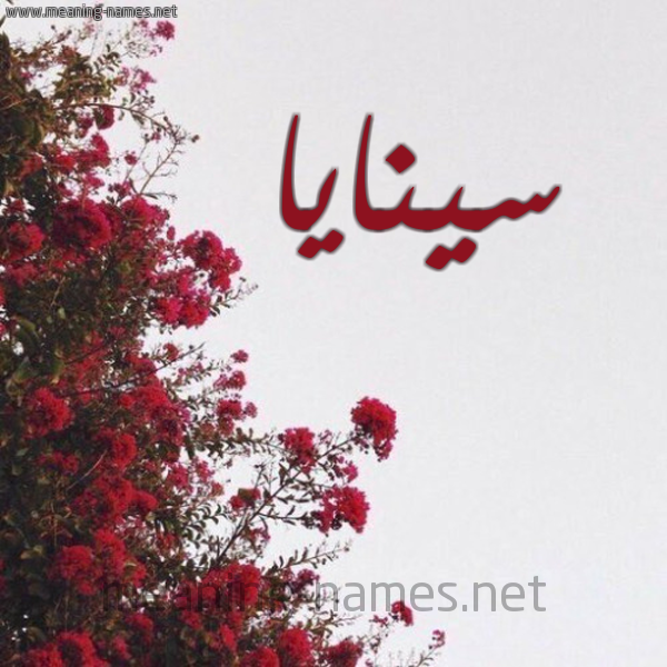 شكل 18 صوره الورد الأحمر للإسم بخط رقعة صورة اسم سينايا Sanaya