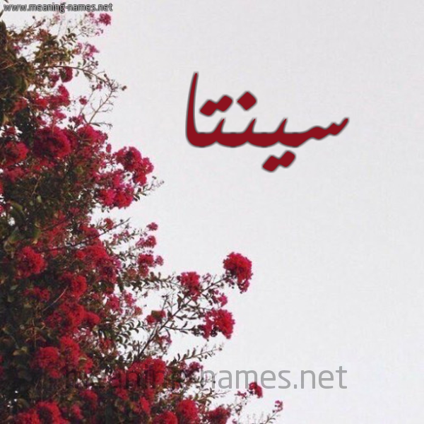 شكل 18 صوره الورد الأحمر للإسم بخط رقعة صورة اسم سينتا seenra