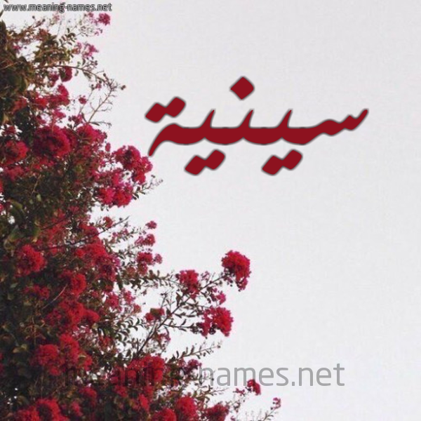 شكل 18 صوره الورد الأحمر للإسم بخط رقعة صورة اسم سينية Saneyyah