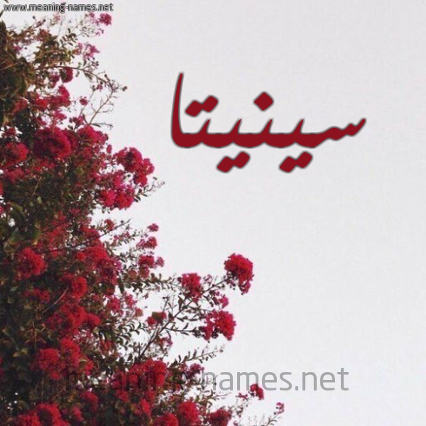 شكل 18 صوره الورد الأحمر للإسم بخط رقعة صورة اسم سينيتا Cinta