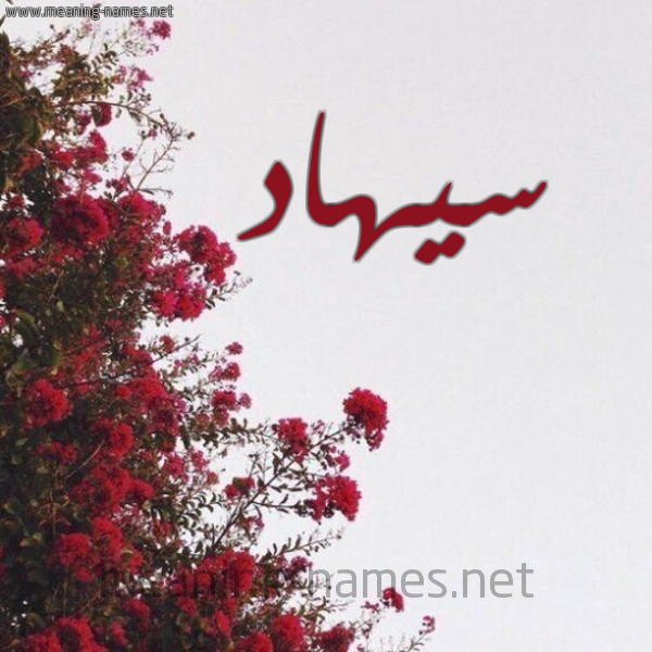 شكل 18 صوره الورد الأحمر للإسم بخط رقعة صورة اسم سيهاد Suhad