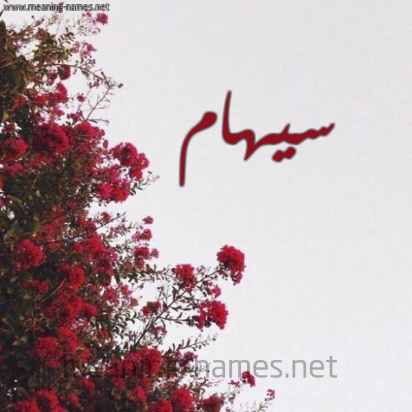 شكل 18 صوره الورد الأحمر للإسم بخط رقعة صورة اسم سيهام Siham