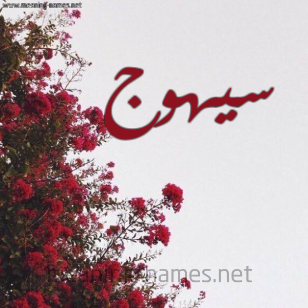 شكل 18 صوره الورد الأحمر للإسم بخط رقعة صورة اسم سيهوج Syhwj