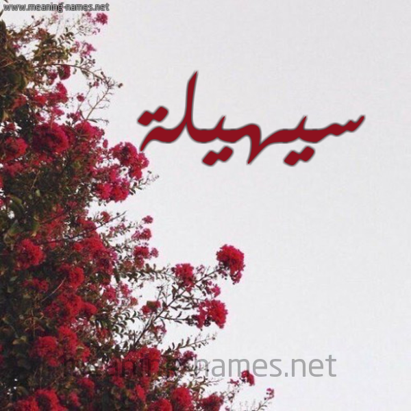 شكل 18 صوره الورد الأحمر للإسم بخط رقعة صورة اسم سيهيلة Suhaila