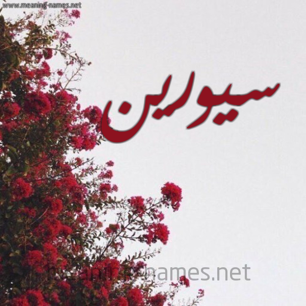 شكل 18 صوره الورد الأحمر للإسم بخط رقعة صورة اسم سيورين Soren