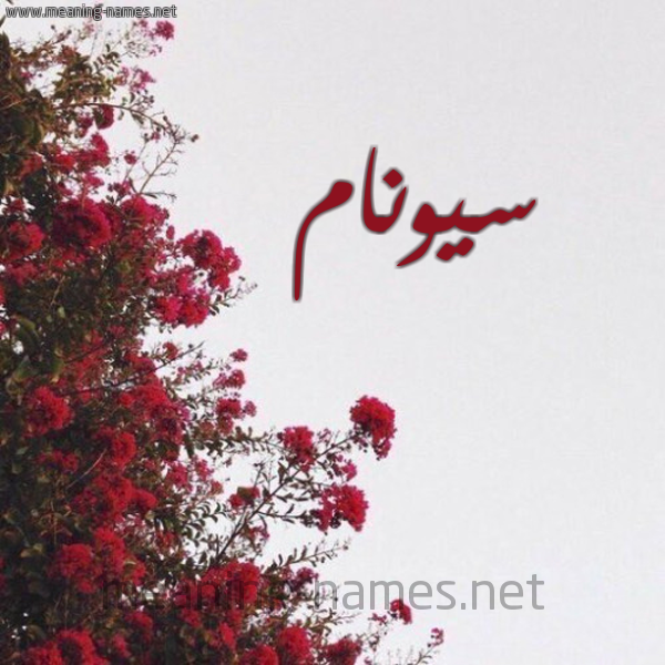 شكل 18 صوره الورد الأحمر للإسم بخط رقعة صورة اسم سيونام Sonam