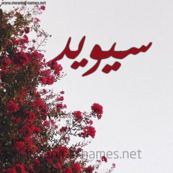 شكل 18 صوره الورد الأحمر للإسم بخط رقعة صورة اسم سيويد Sweid