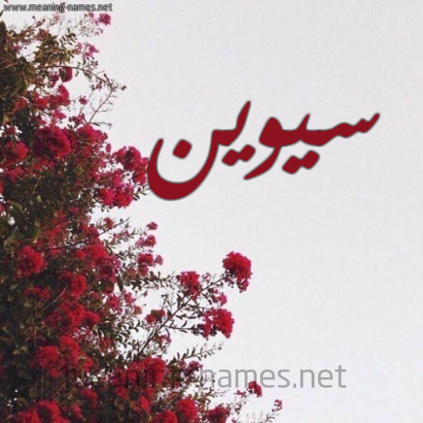 شكل 18 صوره الورد الأحمر للإسم بخط رقعة صورة اسم سيوين Sween