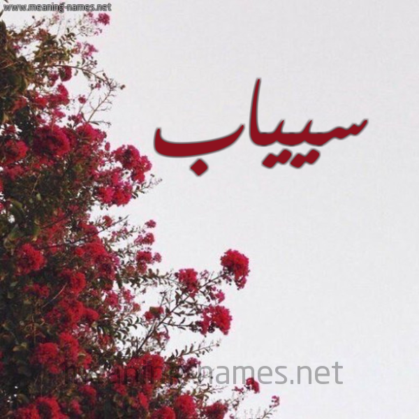 شكل 18 صوره الورد الأحمر للإسم بخط رقعة صورة اسم سيياب Sayyab