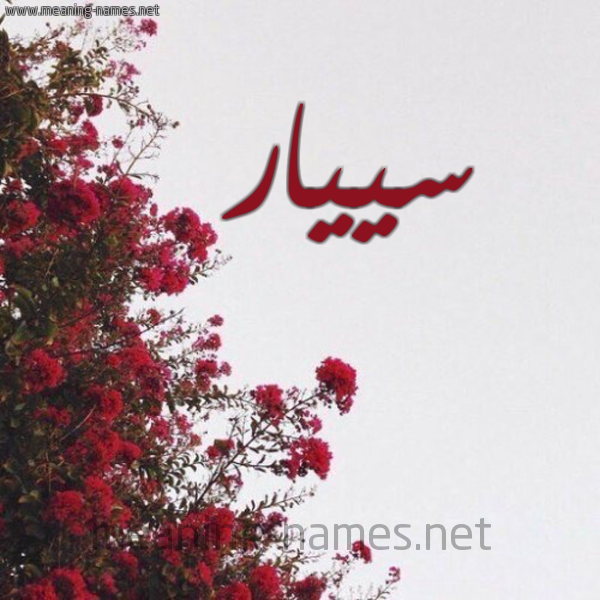 شكل 18 صوره الورد الأحمر للإسم بخط رقعة صورة اسم سييار Sayar