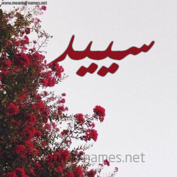 شكل 18 صوره الورد الأحمر للإسم بخط رقعة صورة اسم سييد Sayed