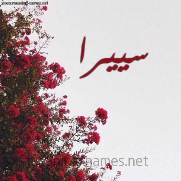 شكل 18 صوره الورد الأحمر للإسم بخط رقعة صورة اسم سييرا seerA