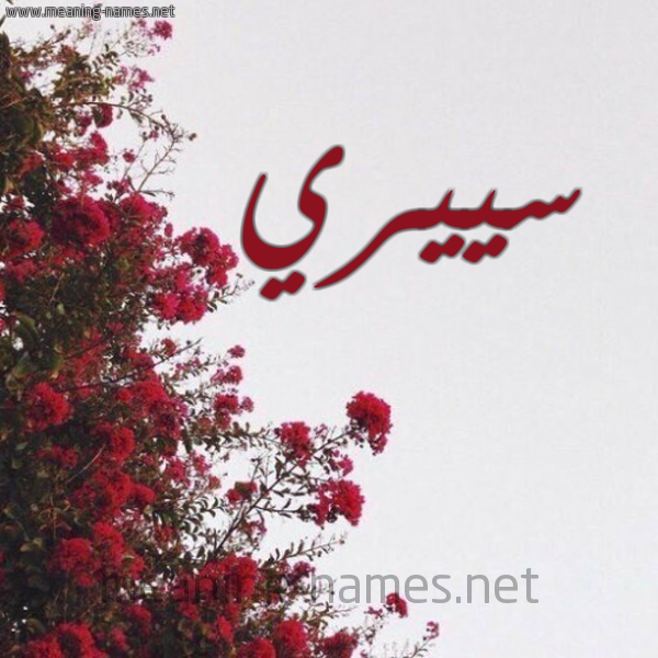 شكل 18 صوره الورد الأحمر للإسم بخط رقعة صورة اسم سييري Siri