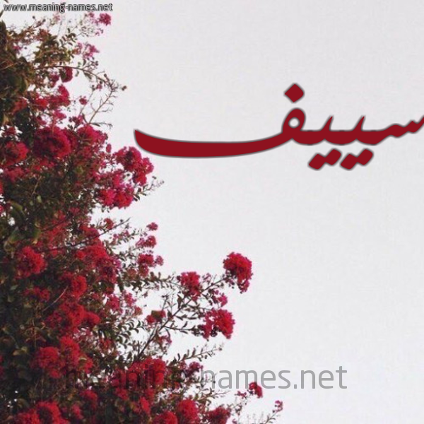 شكل 18 صوره الورد الأحمر للإسم بخط رقعة صورة اسم سييف Seif