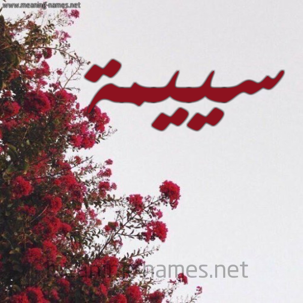 شكل 18 صوره الورد الأحمر للإسم بخط رقعة صورة اسم سييمة Seema