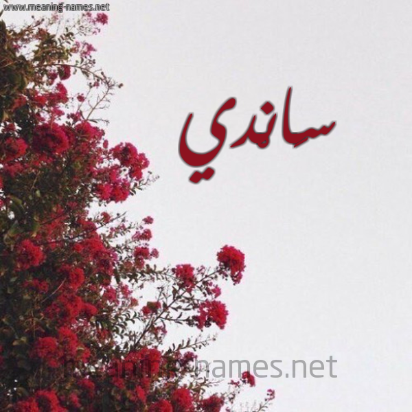 شكل 18 صوره الورد الأحمر للإسم بخط رقعة صورة اسم سَانْدي Sandi