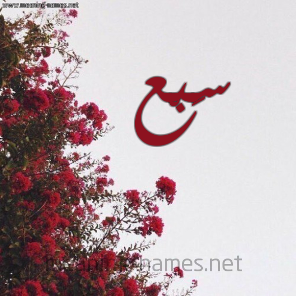 شكل 18 صوره الورد الأحمر للإسم بخط رقعة صورة اسم سَبْع SABA