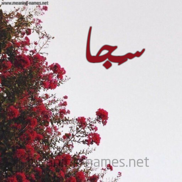 شكل 18 صوره الورد الأحمر للإسم بخط رقعة صورة اسم سَجا Saga