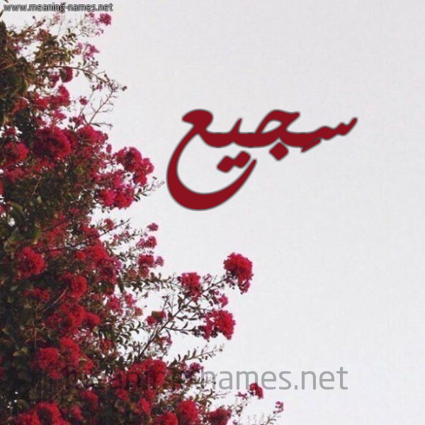 شكل 18 صوره الورد الأحمر للإسم بخط رقعة صورة اسم سَجيع SAGIA