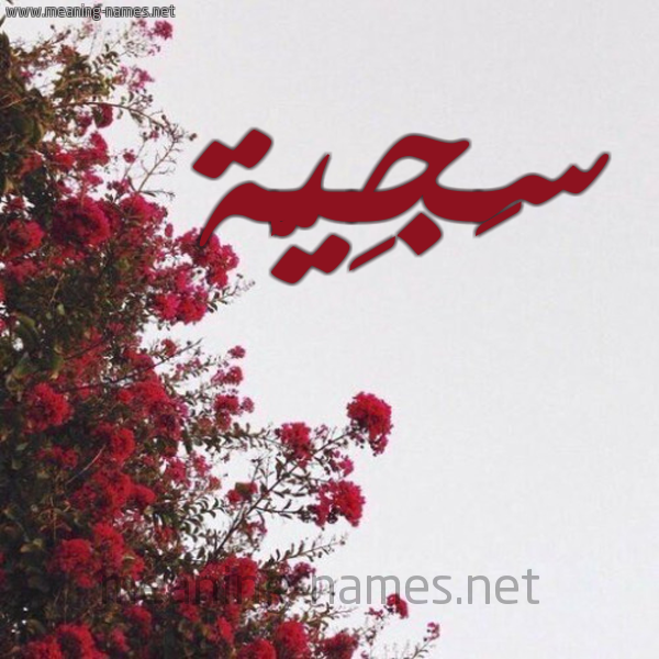 شكل 18 صوره الورد الأحمر للإسم بخط رقعة صورة اسم سَجِيَّة SAGEIAH
