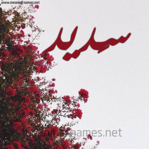 شكل 18 صوره الورد الأحمر للإسم بخط رقعة صورة اسم سَديد SADID