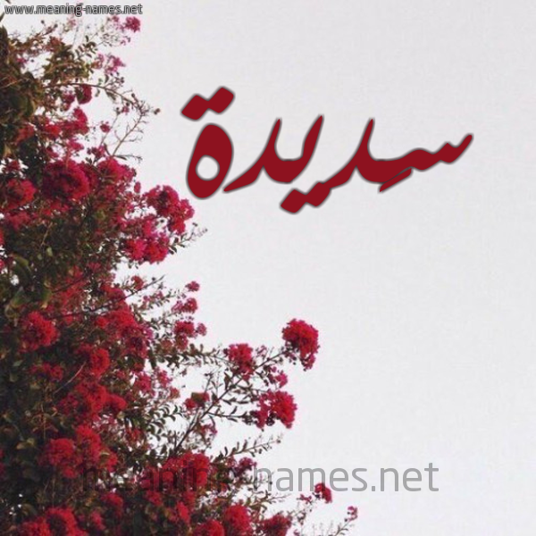 شكل 18 صوره الورد الأحمر للإسم بخط رقعة صورة اسم سَديدة SADIDH